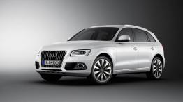 Audi Q5 I SUV Facelifting 2.0 TDI 150KM 110kW od 2013