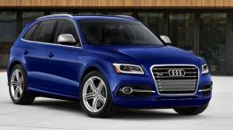 Audi Q5 I SQ5 3.0 TDI 313KM 230kW od 2013