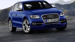 Audi Q5 I SQ5 3.0 TDI 313KM 230kW od 2013