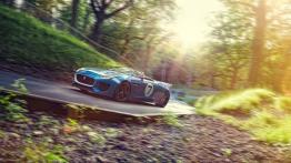 Jaguar Project 7 Concept (2013) - widok z przodu