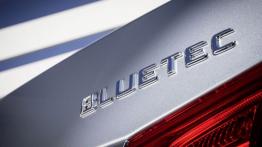 Mercedes E 220 BlueTEC BlueEFFICIENCY Edition (2013) - emblemat