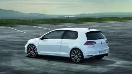 Volkswagen Golf VII GTI (2013) - lewy bok