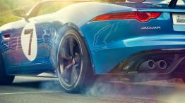 Jaguar Project 7 Concept (2013) - opona