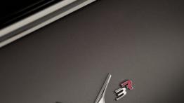 Citroen DS3 Cabrio Racing Concept (2013) - emblemat