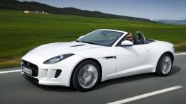 Jaguar F-Type V6 Polaris White (2013) - lewy bok