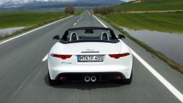 Jaguar F-Type V6 Polaris White (2013) - widok z tyłu