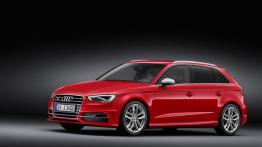 Audi S3 III Sportback (2013) - lewy bok