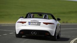 Jaguar F-Type V6 Polaris White (2013) - widok z tyłu