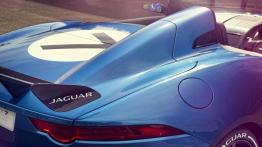 Jaguar Project 7 Concept (2013) - góra - inne ujęcie