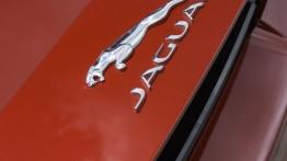 Jaguar F-Type V6S Italian Racing Red - emblemat