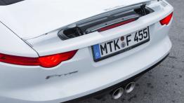 Jaguar F-Type V6 Polaris White (2013) - spoiler