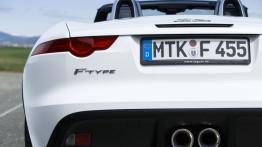 Jaguar F-Type V6 Polaris White (2013) - tył - inne ujęcie