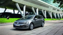 Volkswagen Golf VII Variant (2013) - widok z przodu