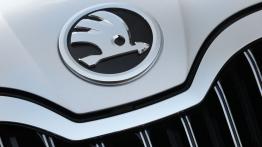 Skoda Superb II Liftback Facelifting (2013) - logo