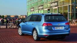 Volkswagen Golf VII Variant (2013) - widok z tyłu