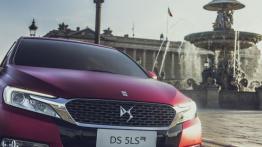 Citroen DS 5LS R Concept (2014) - grill