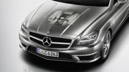 Mercedes CLS W218 Coupe AMG 63 AMG 558KM 410kW 2013-2014