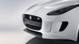 Jaguar F-Type R Coupe (2014) - grill