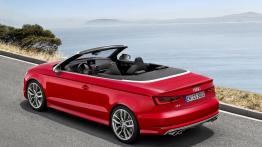 Audi S3 III Cabriolet (2014) - lewy bok