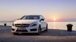 Mercedes Klasa A W176 Hatchback 5d 2.1 220 CDI BlueEFFICIENCY 170KM 125kW 2012-2015