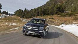 Mercedes Klasa GL X166 Off-roader 400 333KM 245kW 2014-2015