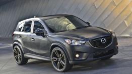 Mazda CX-5 I SUV 2.0 SKYACTIV-G 160KM 118kW 2011-2015