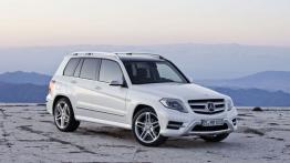 Mercedes GLK Off-roader Facelifting 220 CDI BlueEFFICIENCY 170KM 125kW 2012-2015