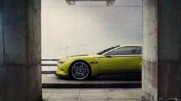 BMW 3.0 CSL Hommage Concept (2015) - bok - inne ujęcie