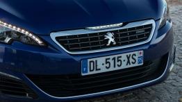 Peugeot 308 II Hatchback GT (2015) - grill