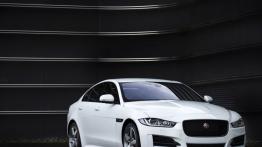 Jaguar XE 2.0d R-Sport Polaris White (2015) - widok z przodu