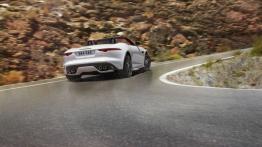 Jaguar F-Type AWD R Roadster Glacier White (2015) - widok z tyłu