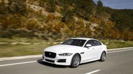 Jaguar XE 2.0d R-Sport Polaris White (2015) - lewy bok