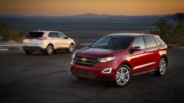 Ford Edge II (2015) - widok z tyłu