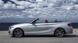 BMW serii 2 Cabrio (2015) - lewy bok