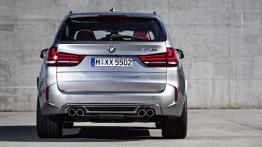 BMW X5 III M (2015) - widok z tyłu