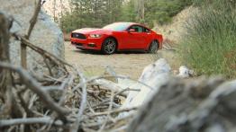 Ford Mustang VI Coupe EcoBoost (2015) - lewy bok