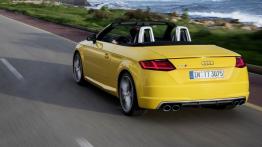 Audi TTS III Roadster (2015) - widok z tyłu