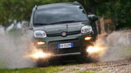 Fiat Panda III 4x4 0.9 8v TwinAir 85KM 63kW 2015-2016