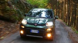 Fiat Panda III 4x4 0.9 8v TwinAir 85KM 63kW 2015-2016