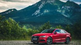 Audi A3 8V Sportback 5d Facelifting 2.0 TDI 150KM 110kW 2016-2018