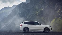 BMW X3 G01 SUV 2.0 25d 211KM 155kW 2018-2019