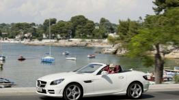 Mercedes SLK 250 CDI 2012 - lewy bok