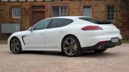 Porsche Panamera S E-hybrid - galeria redakcyjna (2) - lewy bok