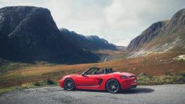 Porsche Boxster 718 Cabrio 2.0 300KM 221kW 2016-2022