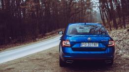 Skoda Octavia III RS Facelifting 2.0 TSI 230KM 169kW 2017-2020