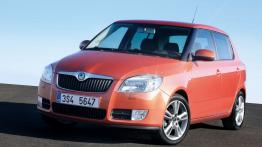 Skoda Fabia 2007 - widok z przodu