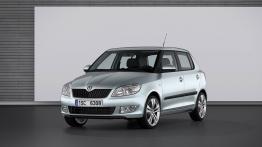 Skoda Fabia 2010 - widok z przodu