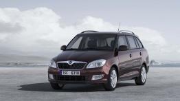 Skoda Fabia Kombi 2010 - widok z przodu