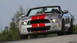 Ford Mustang Shelby GT500 Cabrio 2013 - widok z przodu