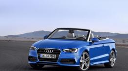 Audi A3 III Cabriolet (2014) - widok z przodu